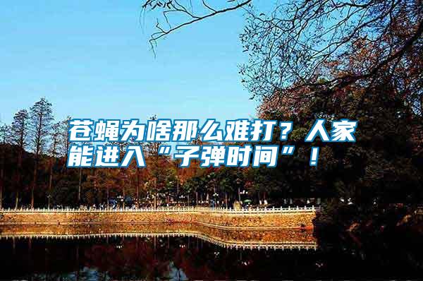蒼蠅為啥那么難打？人家能進入“子彈時間”！
