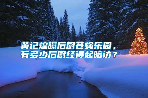 黃記煌曝后廚蒼蠅樂園， 有多少后廚經得起暗訪？