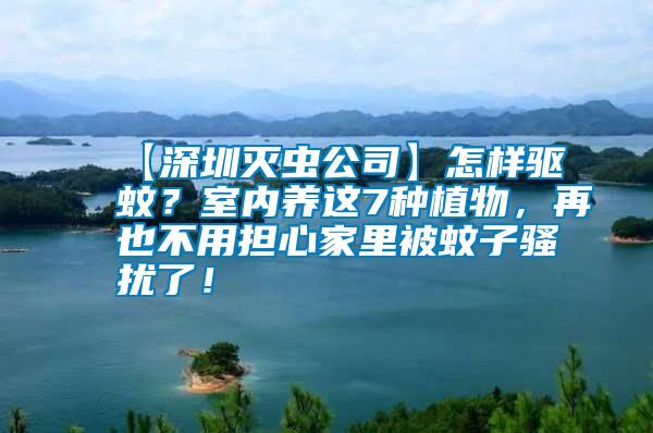 【深圳滅蟲公司】怎樣驅蚊？室內養這7種植物，再也不用擔心家里被蚊子騷擾了！