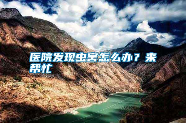 醫院發現蟲害怎么辦？來幫忙