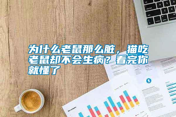 為什么老鼠那么臟，貓吃老鼠卻不會(huì)生病？看完你就懂了