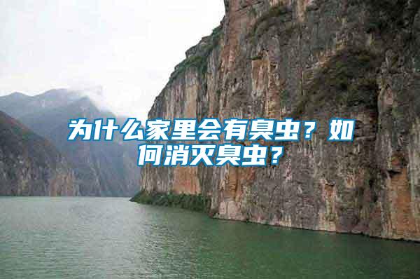 為什么家里會有臭蟲？如何消滅臭蟲？