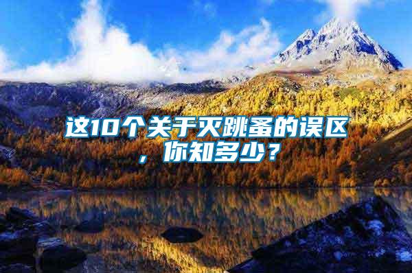 這10個關(guān)于滅跳蚤的誤區(qū)，你知多少？
