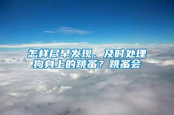 怎樣盡早發現、及時處理狗身上的跳蚤？跳蚤會