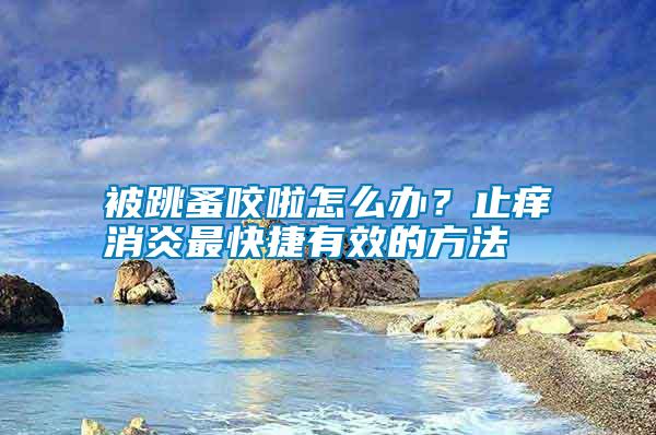 被跳蚤咬啦怎么辦？止癢消炎最快捷有效的方法