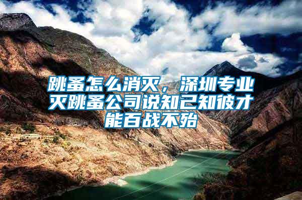 跳蚤怎么消滅，深圳專業滅跳蚤公司說知己知彼才能百戰不殆