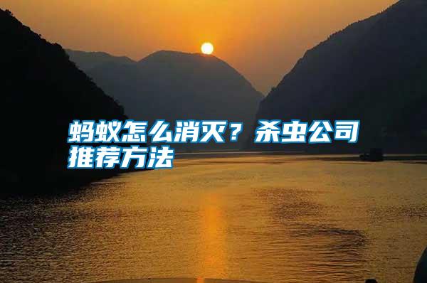 螞蟻怎么消滅？殺蟲公司推薦方法