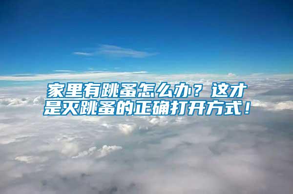 家里有跳蚤怎么辦？這才是滅跳蚤的正確打開方式！