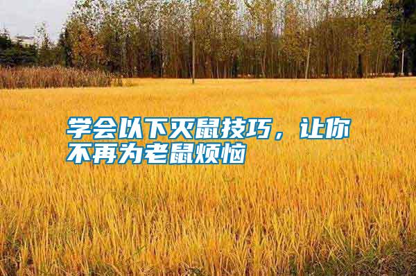 學會以下滅鼠技巧，讓你不再為老鼠煩惱