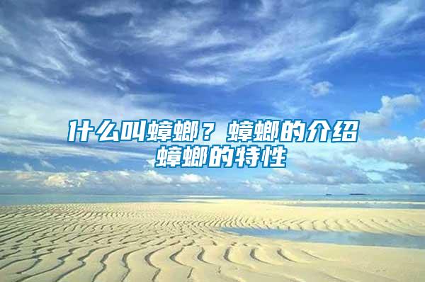 什么叫蟑螂？蟑螂的介紹 蟑螂的特性