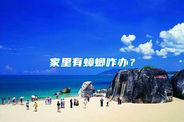 家里有蟑螂咋辦？