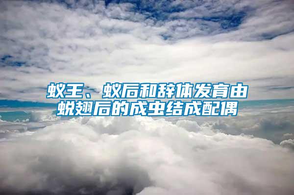蟻王、蟻后和辭體發(fā)育由蛻翅后的成蟲結(jié)成配偶