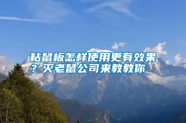 粘鼠板怎樣使用更有效果？滅老鼠公司來教教你