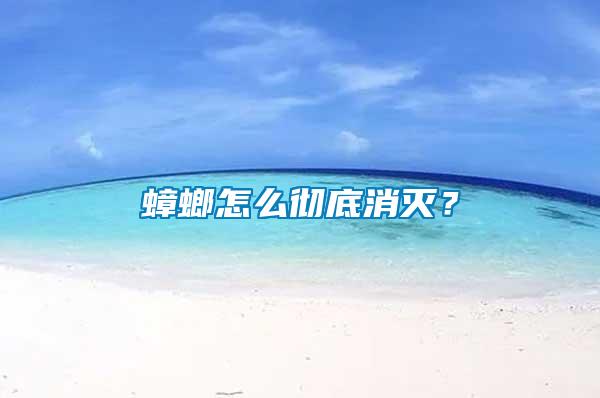 蟑螂怎么徹底消滅？