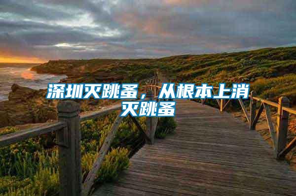 深圳滅跳蚤，從根本上消滅跳蚤
