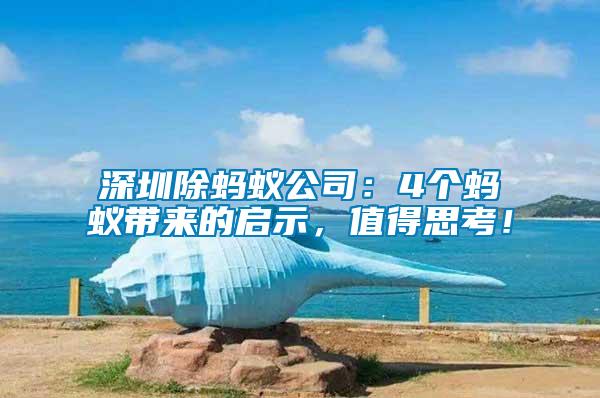 深圳除螞蟻公司：4個螞蟻帶來的啟示，值得思考！
