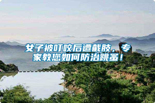 女子被叮咬后遭截肢，專家教您如何防治跳蚤！