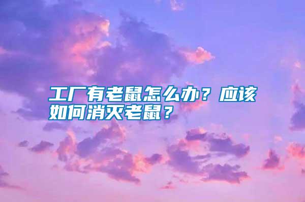 工廠有老鼠怎么辦？應該如何消滅老鼠？