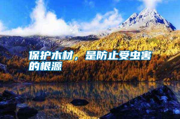 保護木材，是防止受蟲害的根源