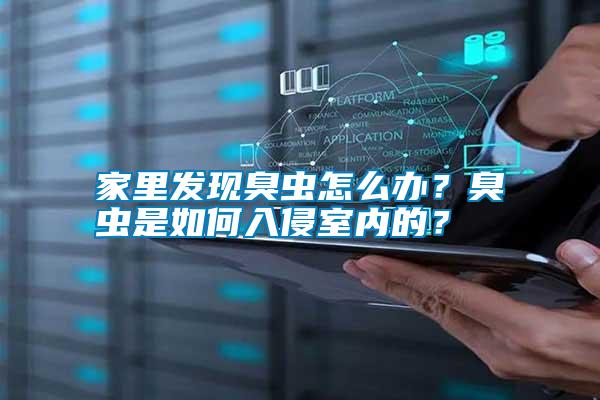 家里發(fā)現(xiàn)臭蟲怎么辦？臭蟲是如何入侵室內(nèi)的？