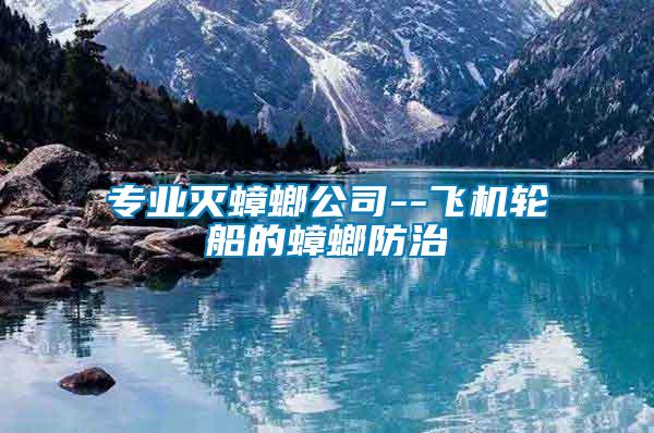 專業滅蟑螂公司--飛機輪船的蟑螂防治