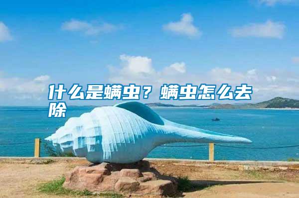 什么是螨蟲？螨蟲怎么去除
