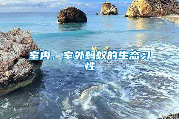 室內(nèi)、室外螞蟻的生態(tài)習(xí)性