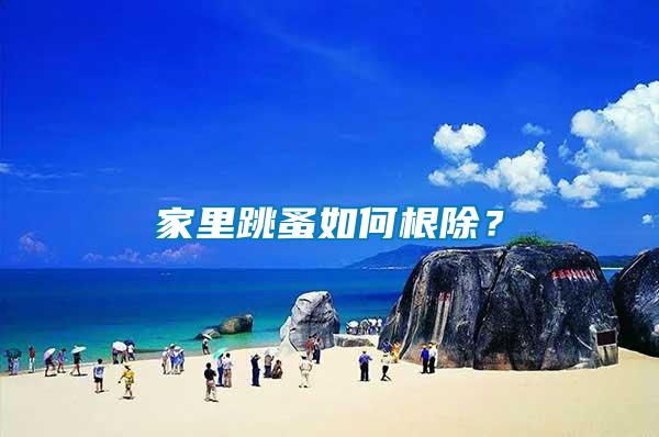 家里跳蚤如何根除？