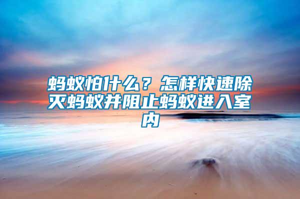 螞蟻怕什么？怎樣快速除滅螞蟻并阻止螞蟻進入室內
