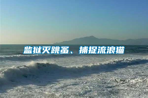 監(jiān)獄滅跳蚤、捕捉流浪貓