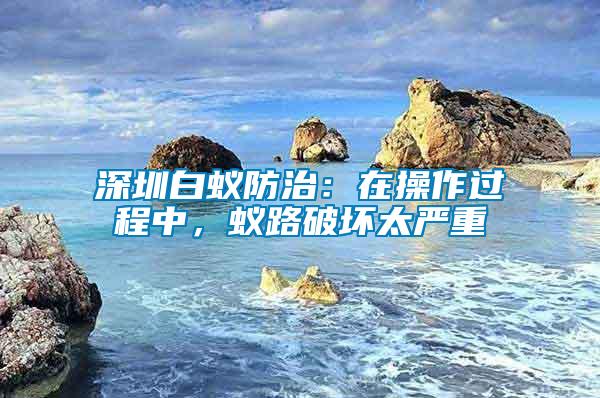 深圳白蟻防治：在操作過程中，蟻路破壞太嚴(yán)重