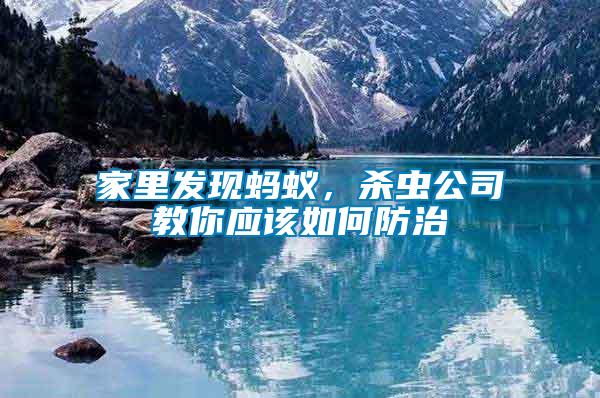 家里發現螞蟻，殺蟲公司教你應該如何防治