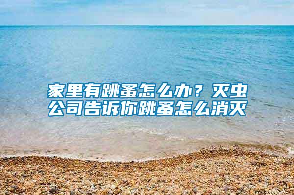 家里有跳蚤怎么辦？滅蟲公司告訴你跳蚤怎么消滅