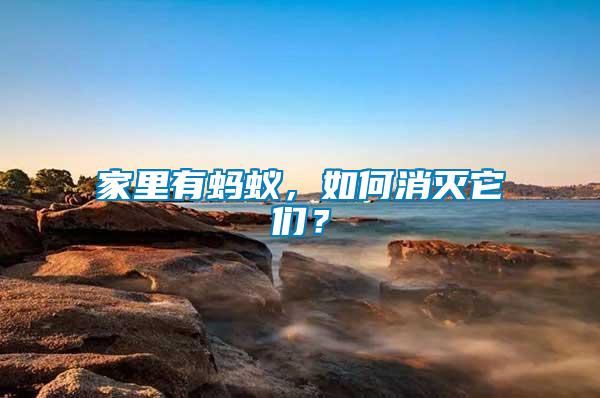 家里有螞蟻，如何消滅它們？