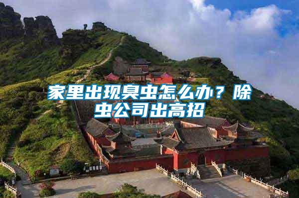 家里出現(xiàn)臭蟲怎么辦？除蟲公司出高招