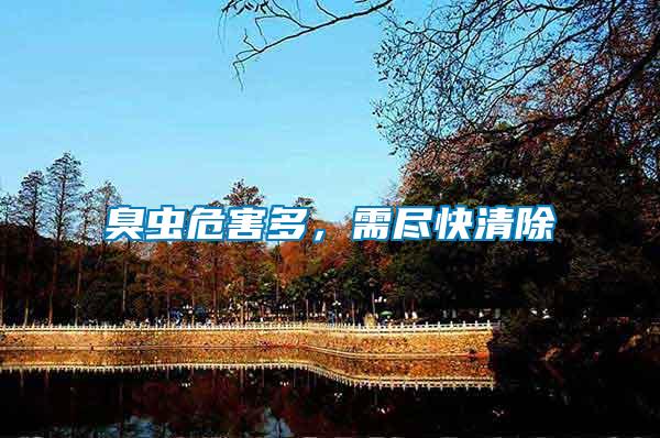 臭蟲危害多，需盡快清除