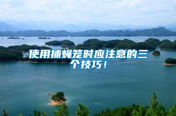使用捕蠅籠時應注意的三個技巧！