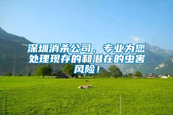 深圳消殺公司，專業為您處理現存的和潛在的蟲害風險！