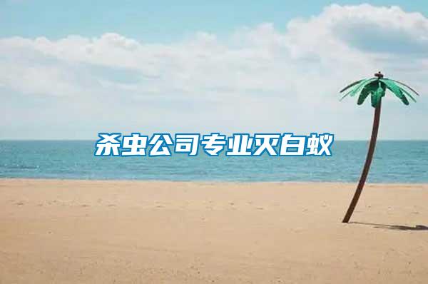 殺蟲(chóng)公司專(zhuān)業(yè)滅白蟻