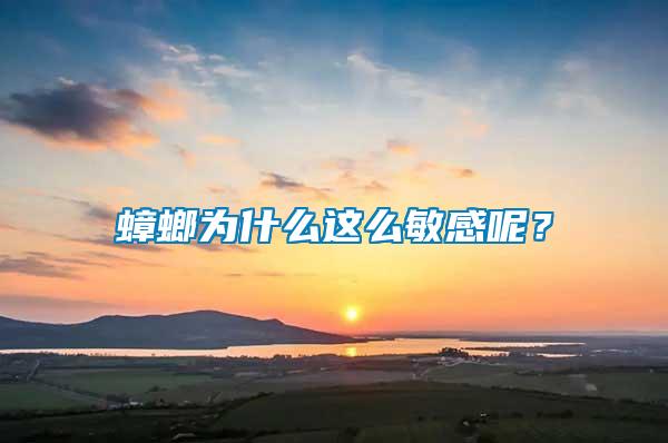 蟑螂為什么這么敏感呢？