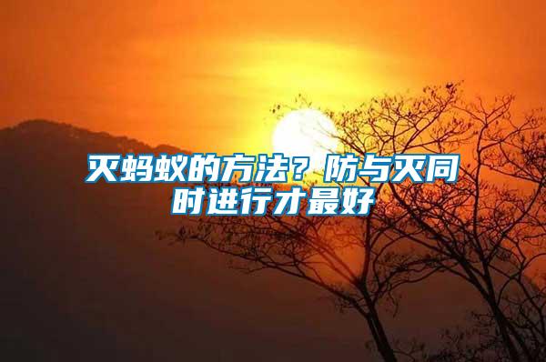 滅螞蟻的方法？防與滅同時進行才最好