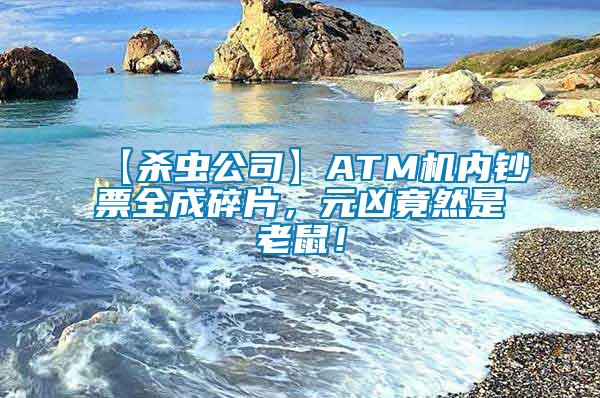 【殺蟲公司】ATM機(jī)內(nèi)鈔票全成碎片，元兇竟然是老鼠！