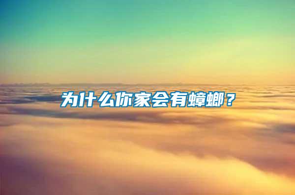 為什么你家會有蟑螂？