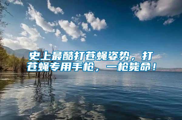 史上最酷打蒼蠅姿勢(shì)，打蒼蠅專(zhuān)用手槍?zhuān)粯寯烂?/></p>
             <p style=