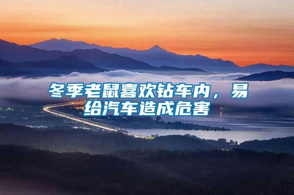 冬季老鼠喜歡鉆車內，易給汽車造成危害
