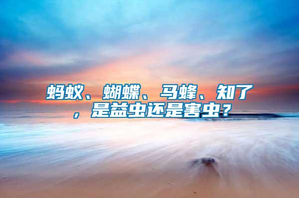 螞蟻、蝴蝶、馬蜂、知了，是益蟲還是害蟲？