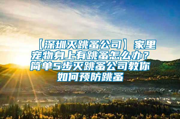 【深圳滅跳蚤公司】家里寵物身上有跳蚤怎么辦？簡單5步滅跳蚤公司教你如何預防跳蚤