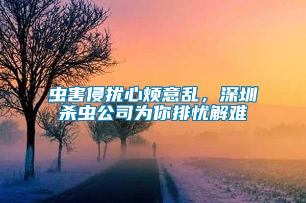 蟲害侵擾心煩意亂，深圳殺蟲公司為你排憂解難