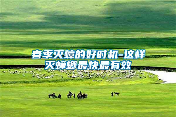 春季滅蟑的好時機(jī)-這樣滅蟑螂最快最有效