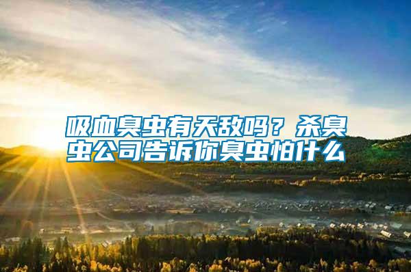 吸血臭蟲有天敵嗎？殺臭蟲公司告訴你臭蟲怕什么